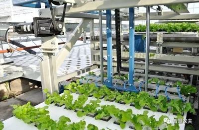 從田園到云端 當無人種植技術跨越邊界，改寫茶葉的未來