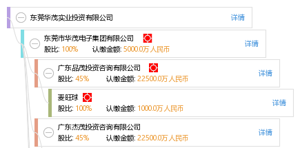 實(shí)業(yè)投資典范 解析東莞華茂實(shí)業(yè)投資的戰(zhàn)略布局與發(fā)展路徑